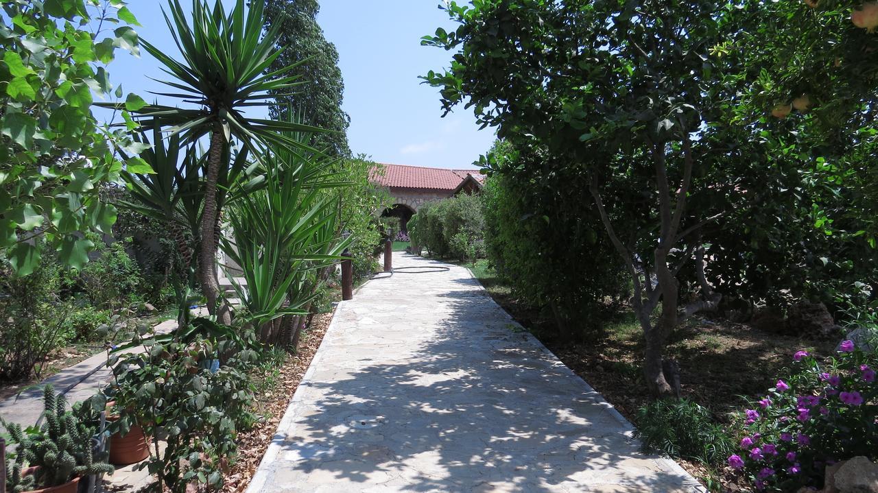 Elausa Hotel & Restaurant Rizokarpaso Esterno foto